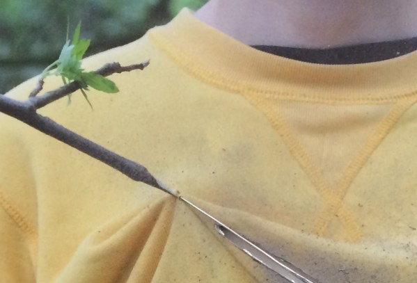 Potential Pin detail 2